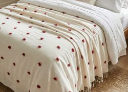 1764001072371-scaled